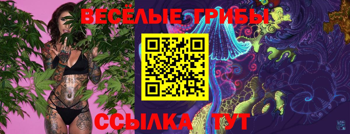 Ишим  Псилоцибиновые грибы Cubensis  Вход с VPN 
